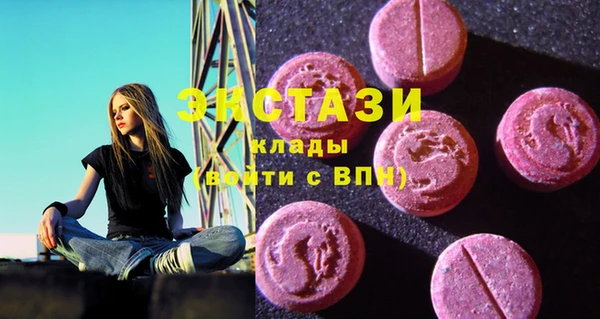 дживик Краснослободск