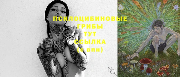 дживик Краснослободск