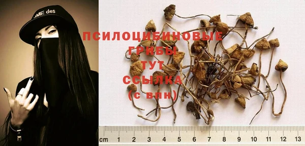 дживик Краснослободск