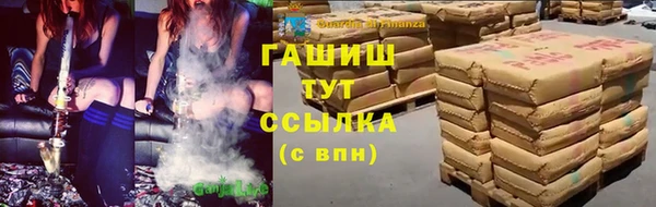 дживик Краснослободск