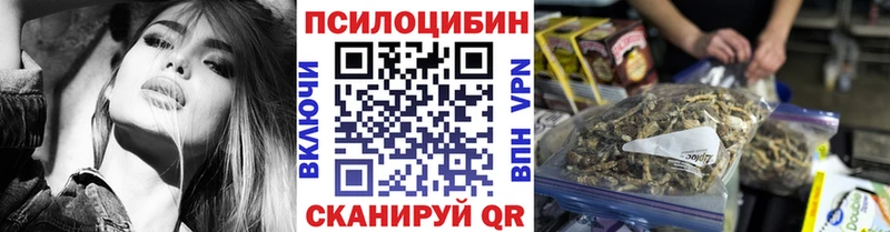 Купить закладки Богданович Псилоцибиновые грибы мухоморы